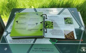 Entdeckerpfad "Biologische Vielfalt" - Station 10 - Apotheke Wald