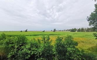 Entdeckerpfad "Biologische Vielfalt" - Blick von der Aussichtsplattform