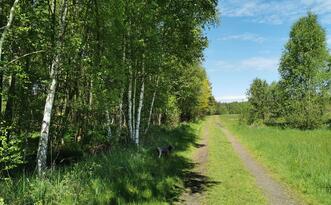 Entdeckerpfad "Biologische Vielfalt" - Beschaffenheit der Wege