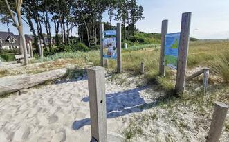 Entdeckerpfad "Biologische Vielfalt" - Station 15 - Wind und Wellen