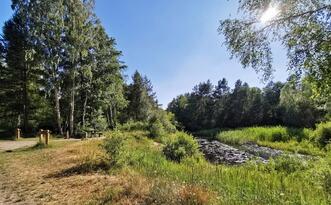 Entdeckerpfad "Biologische Vielfalt" - Station 5 - Schiefe Pfütze
