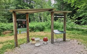 Entdeckerpfad "Biologische Vielfalt" - Station 10 - Apotheke Wald