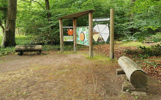 Entdeckerpfad "Biologische Vielfalt" - Warenhaus Wald