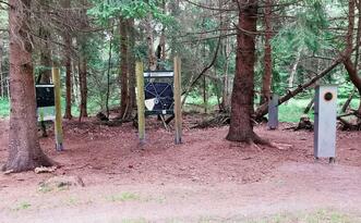 Entdeckerpfad "Biologische Vielfalt" - Station 7 - Rostocker Nachtleben
