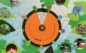 Entdeckerpfad "Biologische Vielfalt" - Glücksrad