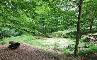 Entdeckerpfad "Biologische Vielfalt" - Station 8 - kleiner Teich