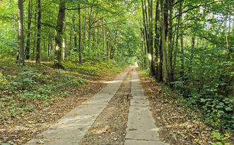 Lehrpfad Lähnwitz - Weg