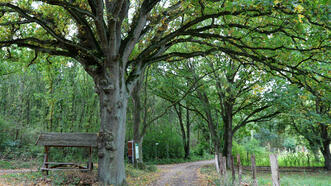 Lehrpfad Lähnwitz - Rastplatz mit Informationstafeln