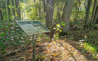 Lehrpfad Lähnwitz - Steinschlägerei
