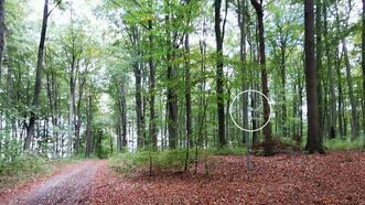 Lehrpfad Lähnwitz - Wegweiser Richtung Hügelgrab / Großsteingrab