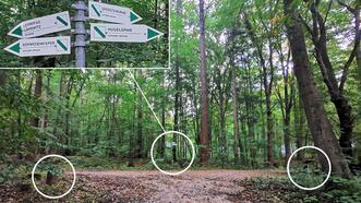 Lehrpfad Lähnwitz - Wegweiser