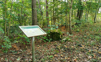 Lehrpfad Lähnwitz - Postmoor