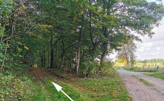 Lehrpfad Lähnwitz - links in den Wald