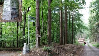 Lehrpfad Lähnwitz - Wegweiser