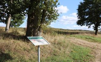 Lehrpfad Lähnwitz - Landschaftsentwicklung