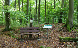 Lehrpfad Lähnwitz - Hügelgrab