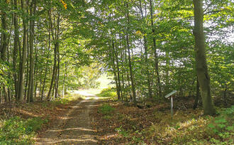 Lehrpfad Lähnwitz - Totholz