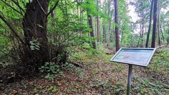 Lehrpfad Lähnwitz - Relikte