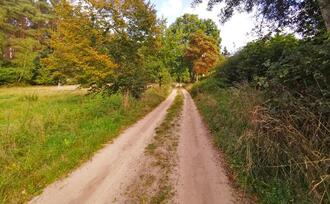 Lehrpfad Lähnwitz - Weg