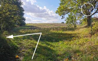 Lehrpfad Lähnwitz - nach links abbiegen