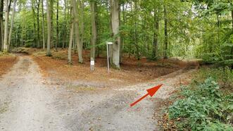 Lehrpfad Lähnwitz - Weggabelung