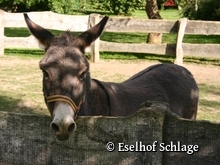 Eselhof Schlage e.V.