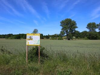 Künstlerpfad 3 - "Der Landweg"