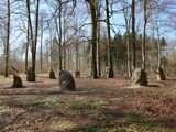 Steinkreise Boitin - Boitiner Steintanz
