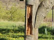 Aussichtsturm Fredissimo in Tessin / M-V - Schadstelle