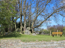 Großsteingrab in Vilz bei Tessin