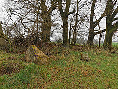 zerstörtes Großsteingrab bei Tessin - vor Ort
