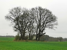 Großsteingrab Tessin