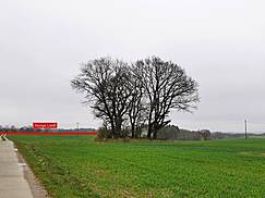 zerstörtes Großsteingrab bei Tessin - Lage