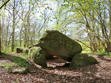 Großsteingrab Liepen 7