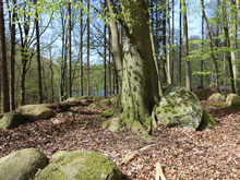 Großsteingrab Thelkow am Teufelssee