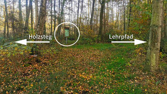 Waldlehrpfad Borkower See