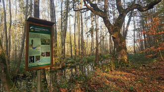 Waldlehrpfad Borkower See - Fließgewässer