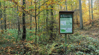 Waldlehrpfad Borkower See - Flora-Fauna-Habitatgebiet
