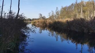 Waldlehrpfad Borkower See - Mildenitz