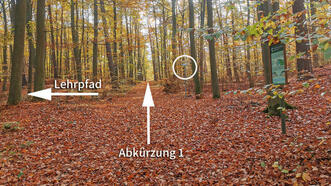 Waldlehrpfad Borkower See - Wege