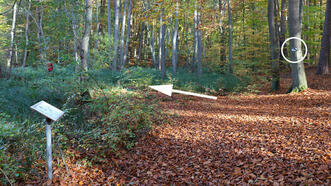 Waldlehrpfad Borkower See