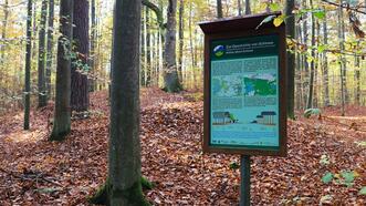 Waldlehrpfad Borkower See - Geschichte Schlowe