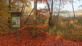 Waldlehrpfad Borkower See - Borkower See