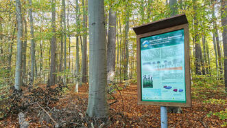 Waldlehrpfad Borkower See - Vom Kiefernwald zum Buchenwald