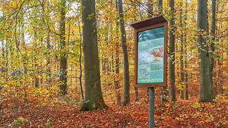 Waldlehrpfad Borkower See - Geologie