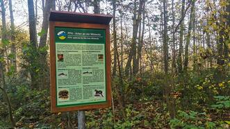 Waldlehrpfad Borkower See - Arten an der Mildenitz