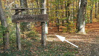 Waldlehrpfad Borkower See - Lehrpfadbeginn