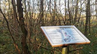 Waldlehrpfad Borkower See - Faulbaum