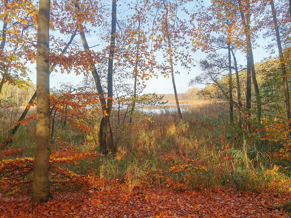 Lehrpfad Borkower See