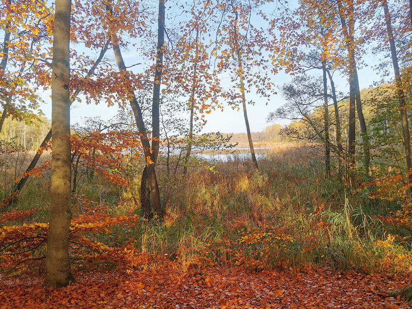 Lehrpfad Borkower See